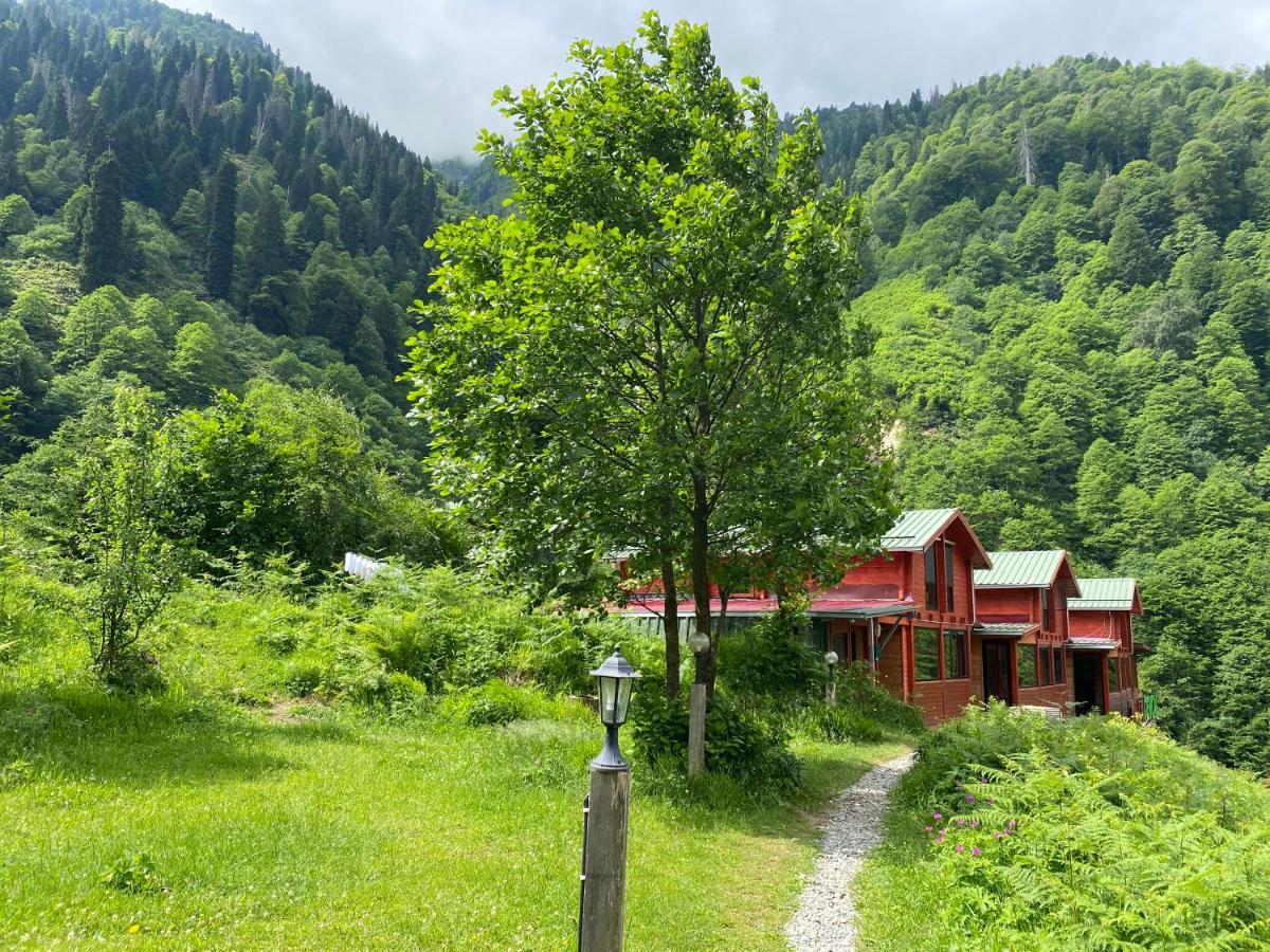 Ayder Villa Gencal Buitenkant foto