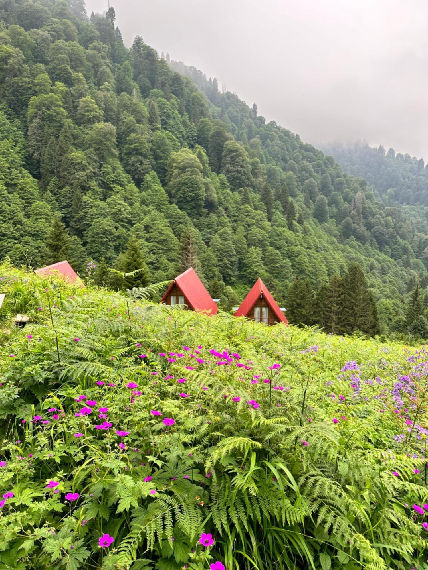 Ayder Villa Gencal Buitenkant foto
