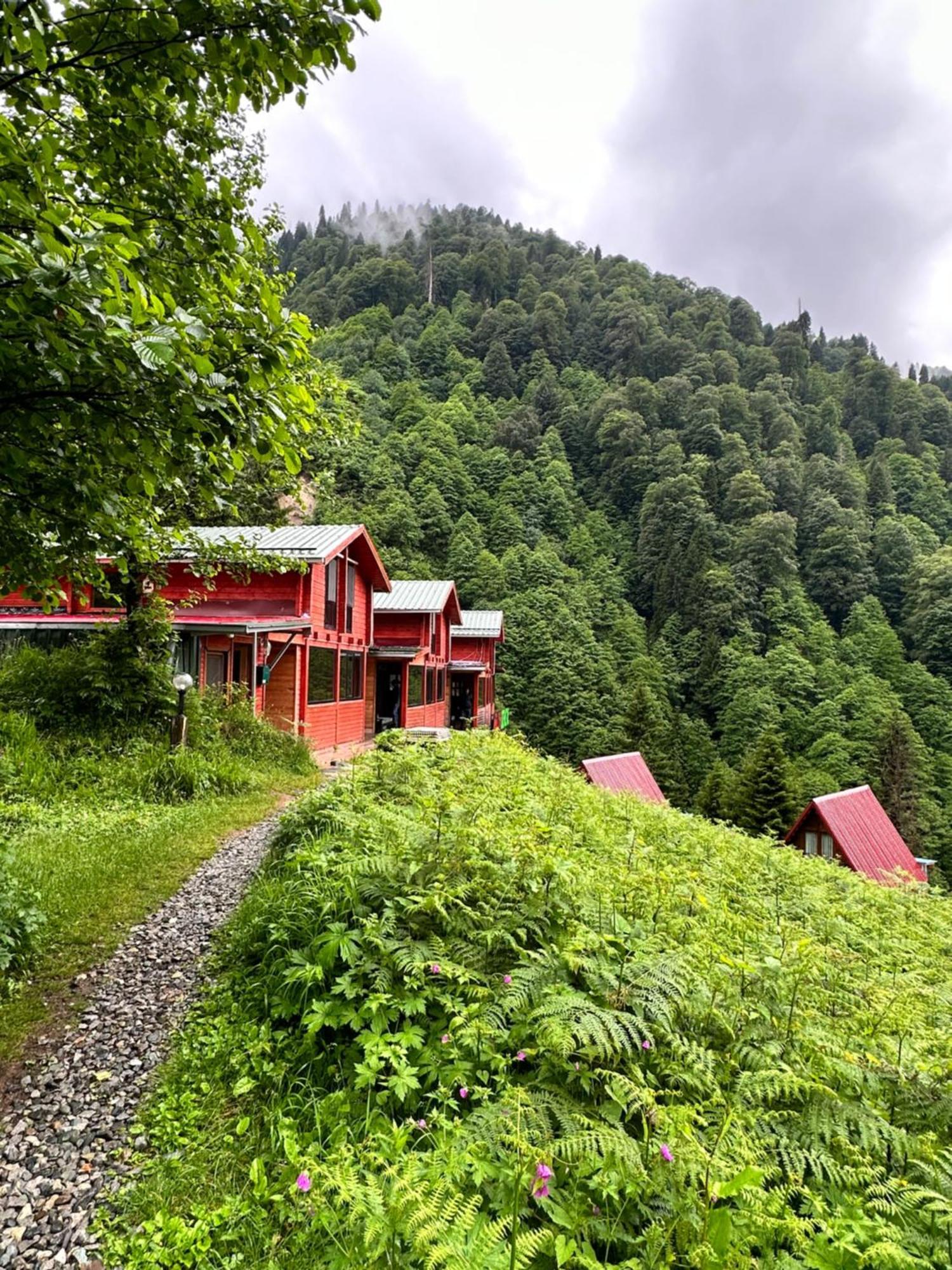 Ayder Villa Gencal Buitenkant foto