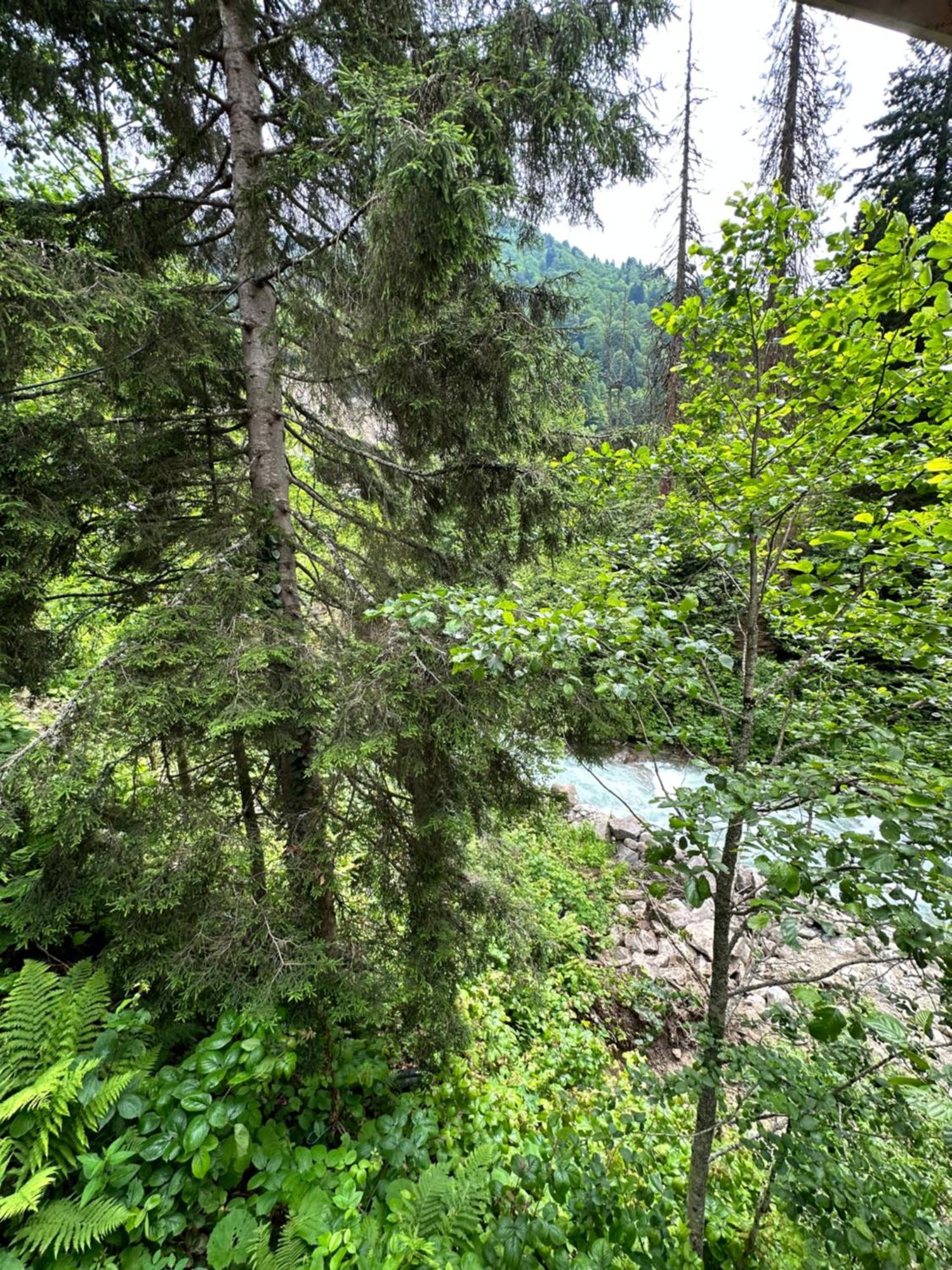 Ayder Villa Gencal Buitenkant foto