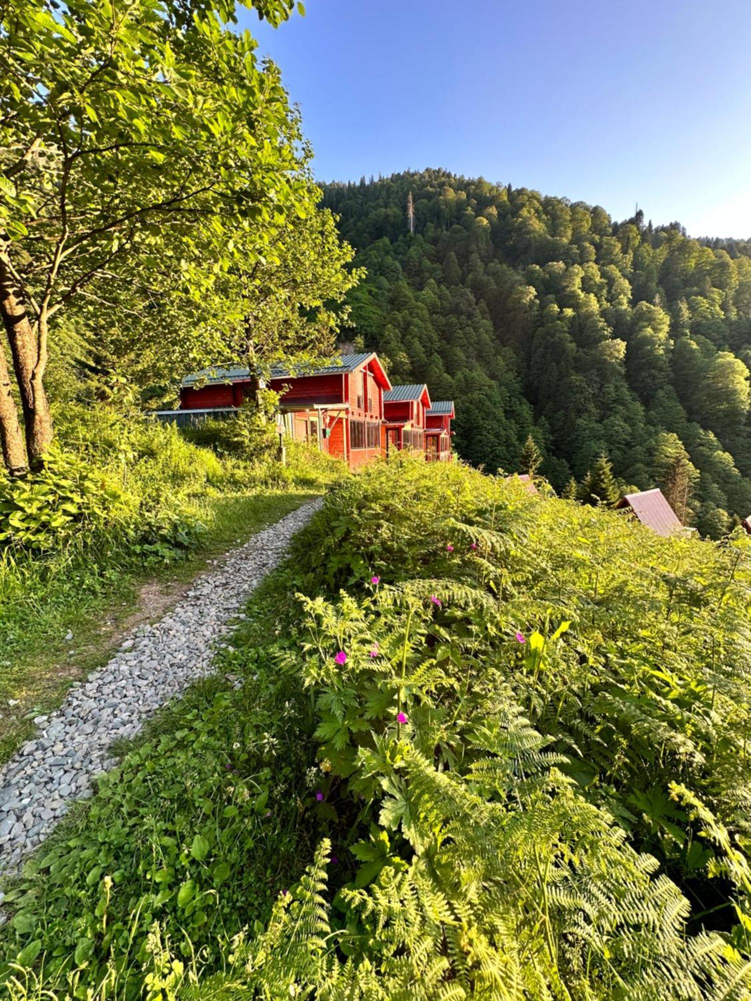 Ayder Villa Gencal Buitenkant foto