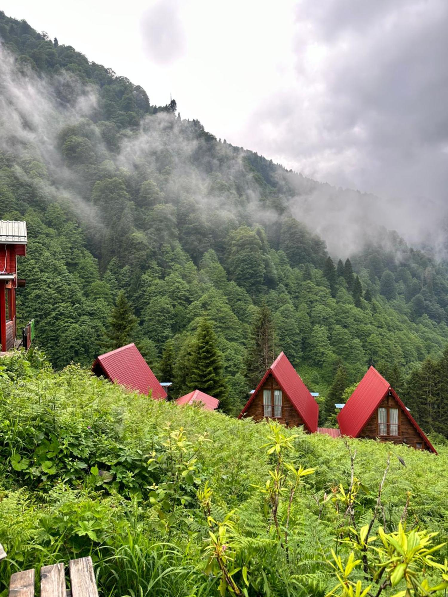 Ayder Villa Gencal Buitenkant foto