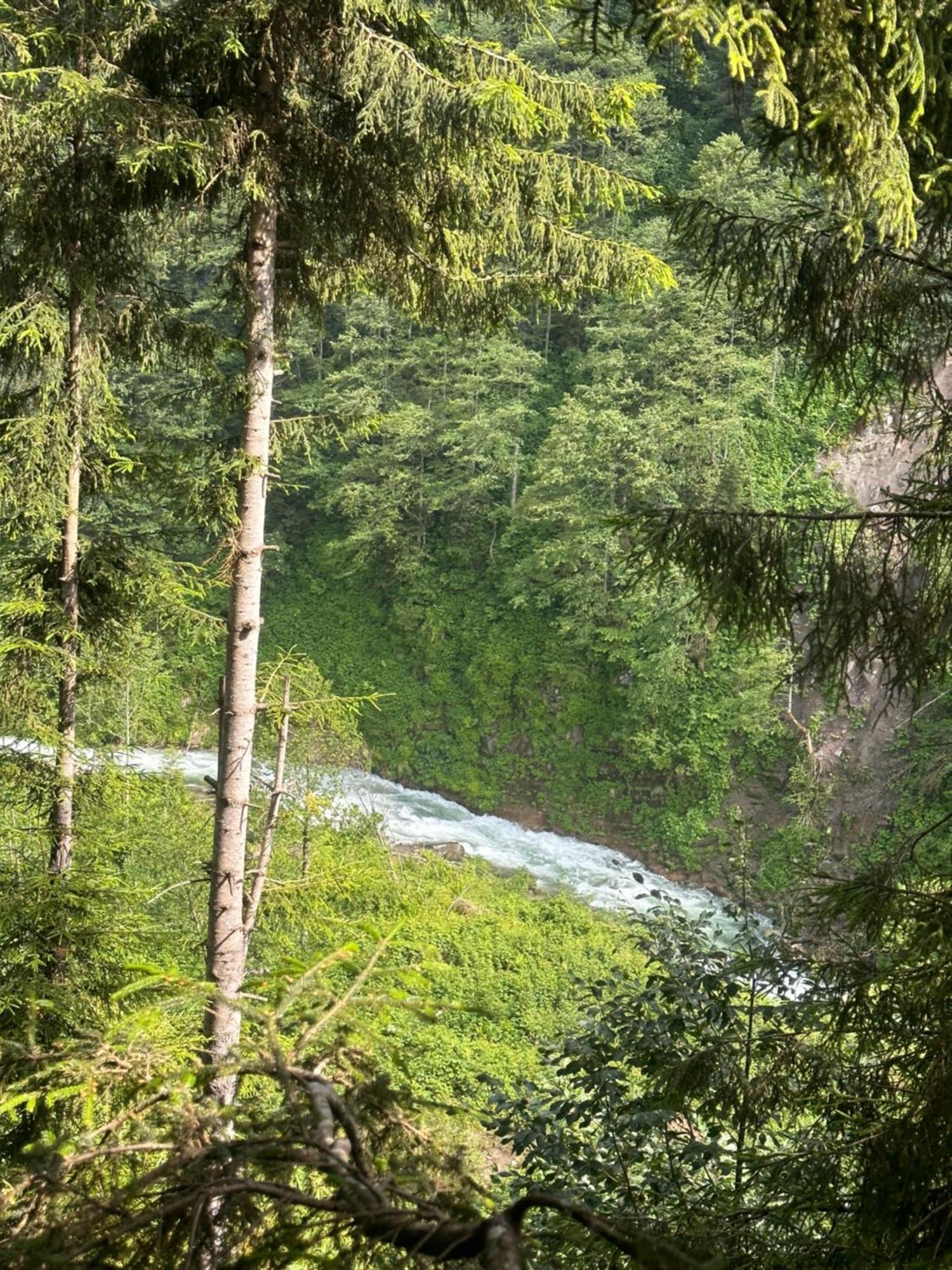 Ayder Villa Gencal Buitenkant foto