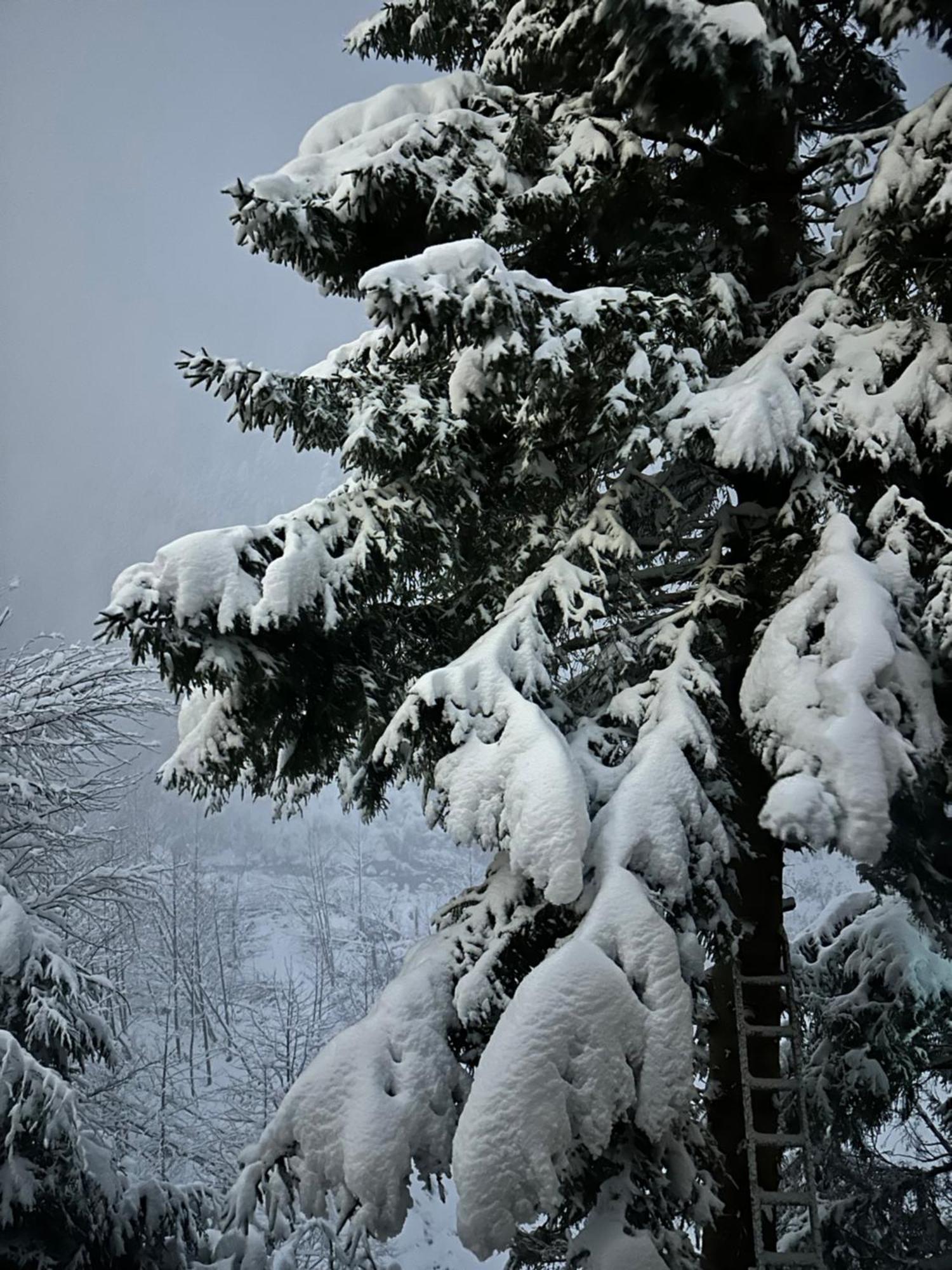 Ayder Villa Gencal Buitenkant foto